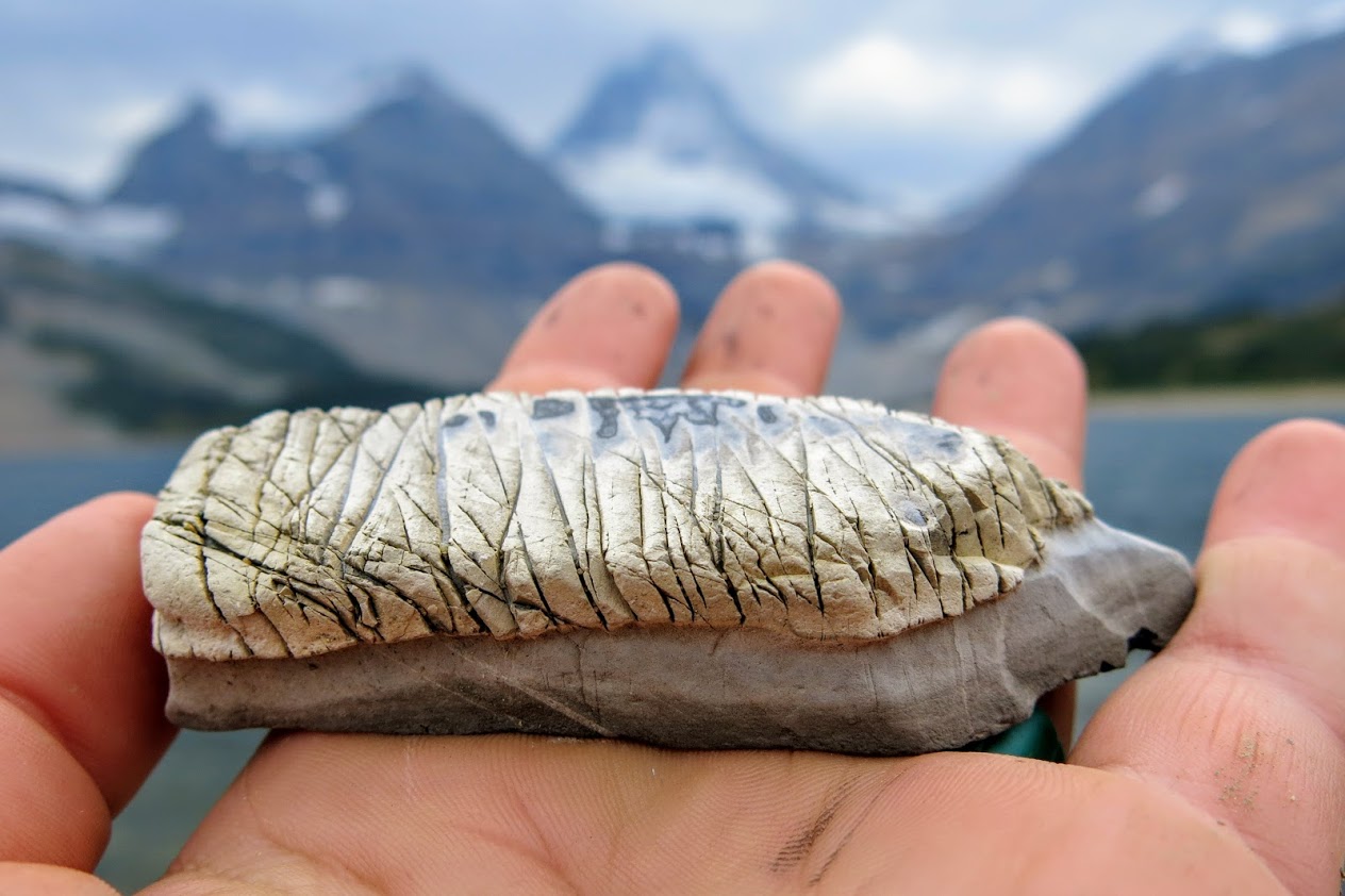 Real-Life at Mt. Assiniboine